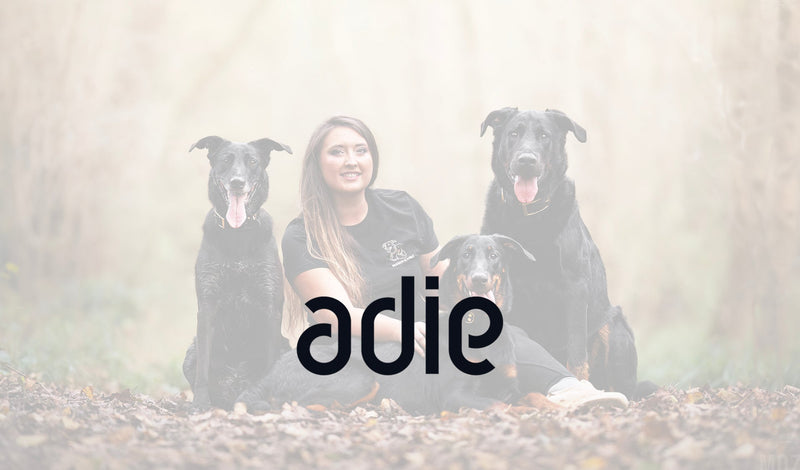Karine, révolutionne l'éducation canine avec bienveillance