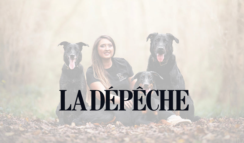 L’Adie félicite l’entrepreneuriat au féminin