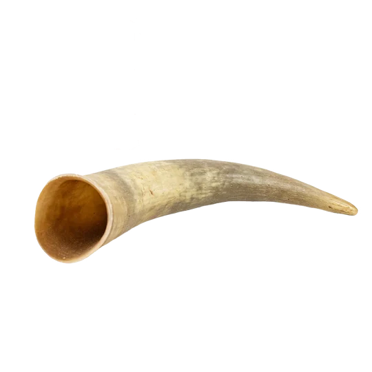 Corne de vache