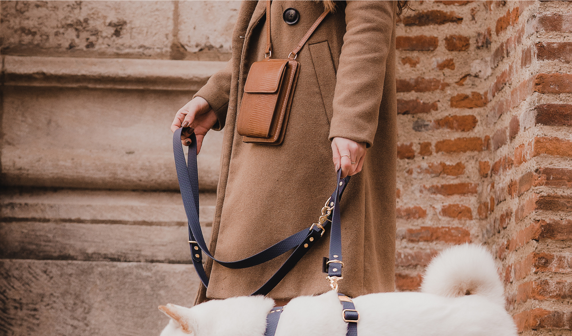 Laisse multi-positions – Classique