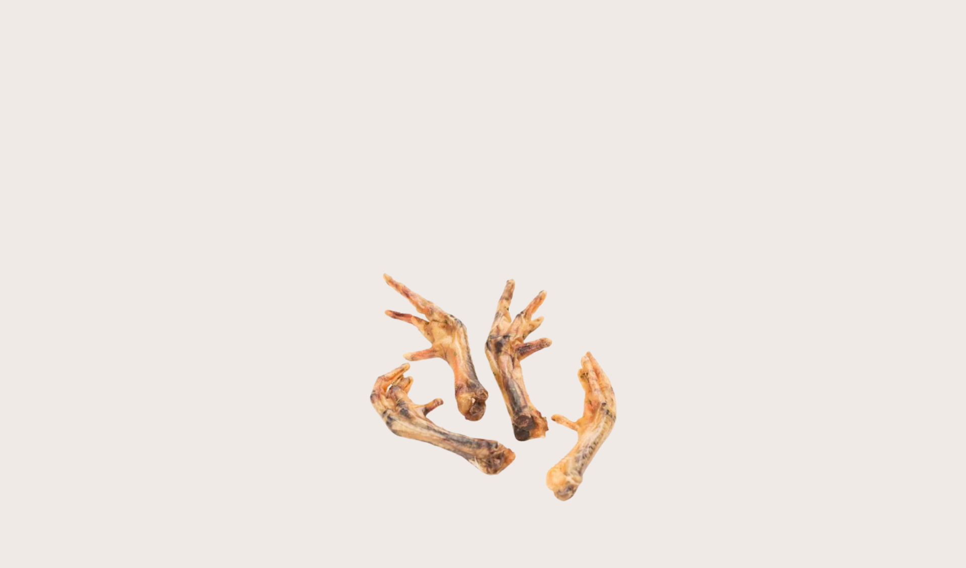 Patte de poulet