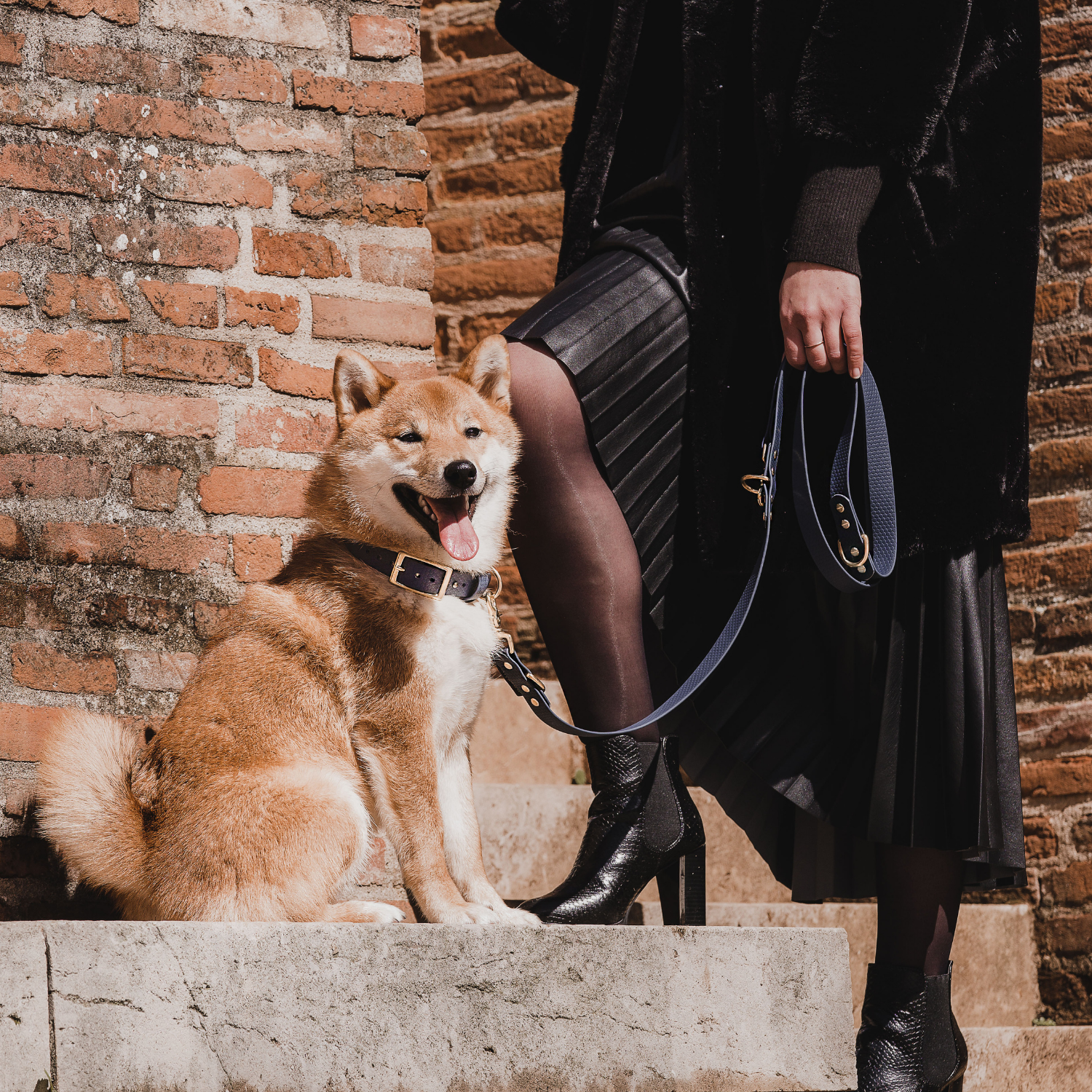 Laisse multi-positions – Classique