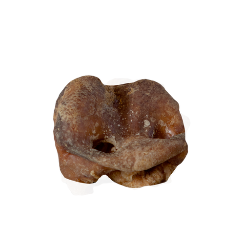 Groin de porc