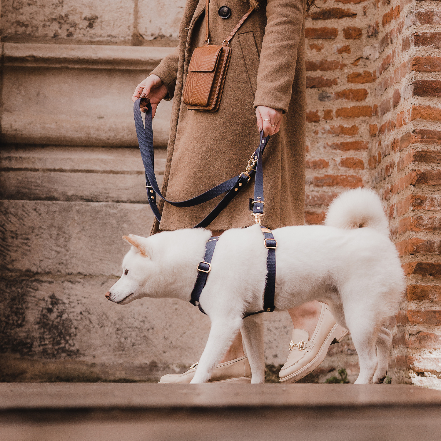 Laisse multi-positions – Classique