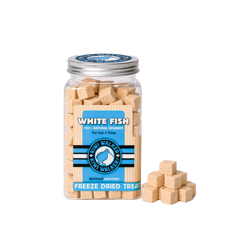 Friandises Kiwi-Walker - Poisson blanc