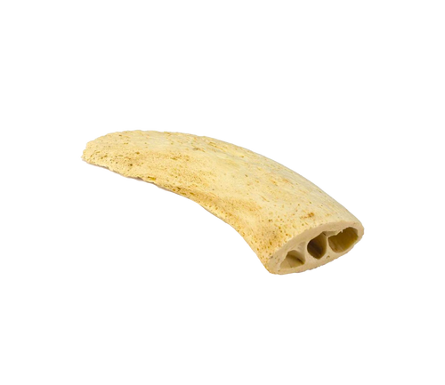 Noyau de corne de boeuf