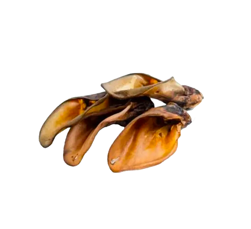 Oreille de bœuf