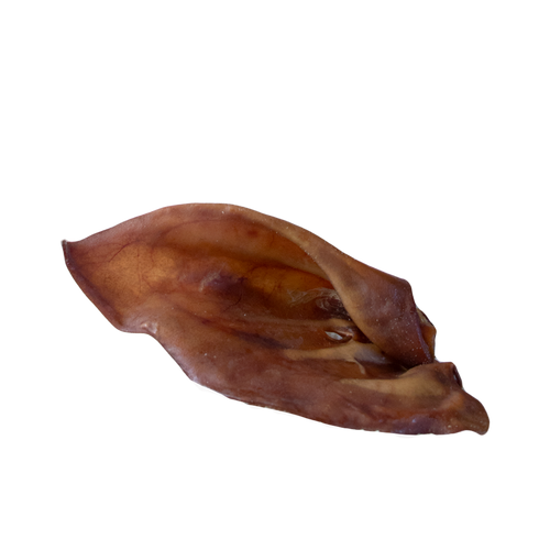 Oreille de porc