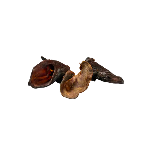 Oreille de sanglier
