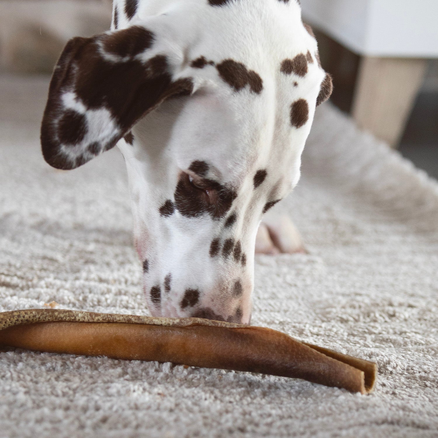 Peau de cerf