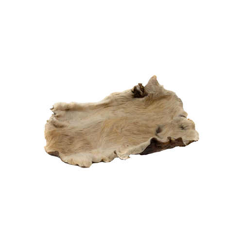 Plaque de peau de bœuf avec poils