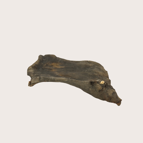 Plaque de peau de cheval