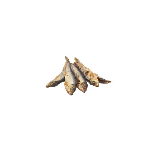 Sprats