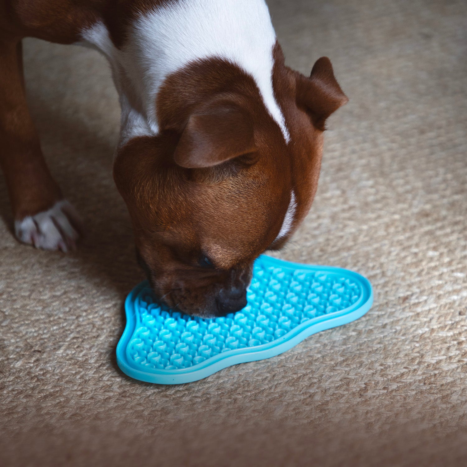 Tapis de Léchage